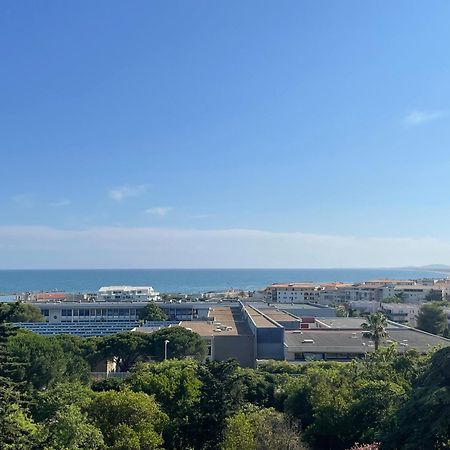 Spacieux T3 Terrasse Vue Mer Sète Exteriör bild